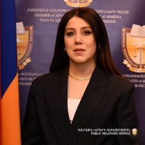Մանե Արայի Հարությունյան