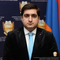 THE AUTOBIOGRAPHY OF ADVOCATE ARZRUN BADALYAN WHO HAS BEEN NOMINATED AS A CANDIDATE FOR THE MEMBERSHIP ELECTIONS OF THE BAR COUNCIL OF THE CHAMBER OF ADVOCATES OF RA THAT ARE TO TAKE PLACE ON THE 11.02.2017 